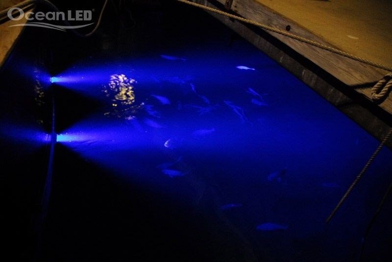 Ocean LED undervandslys i blå