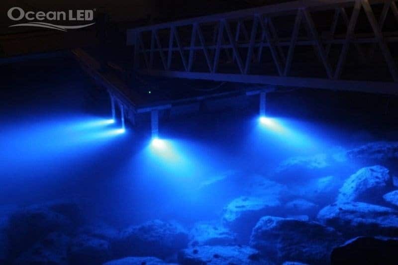 Ocean LED lys ved marina