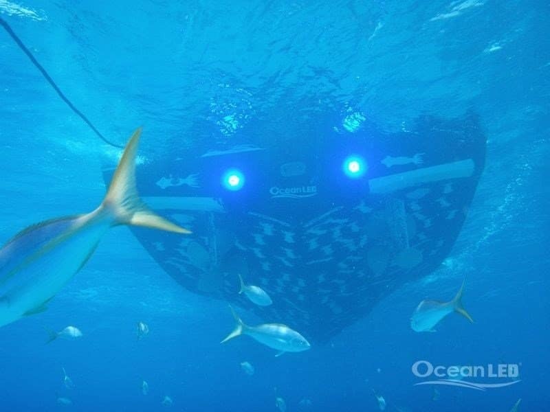Ocean LED installation