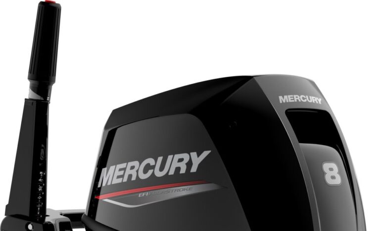 Mercury F 8 MH/MLH EFI